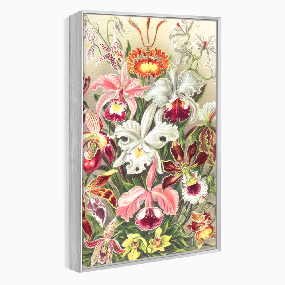 Tablou canvas cu ilustratie botanica cu orhidee multicolore, in rama de aluminiu argintiu